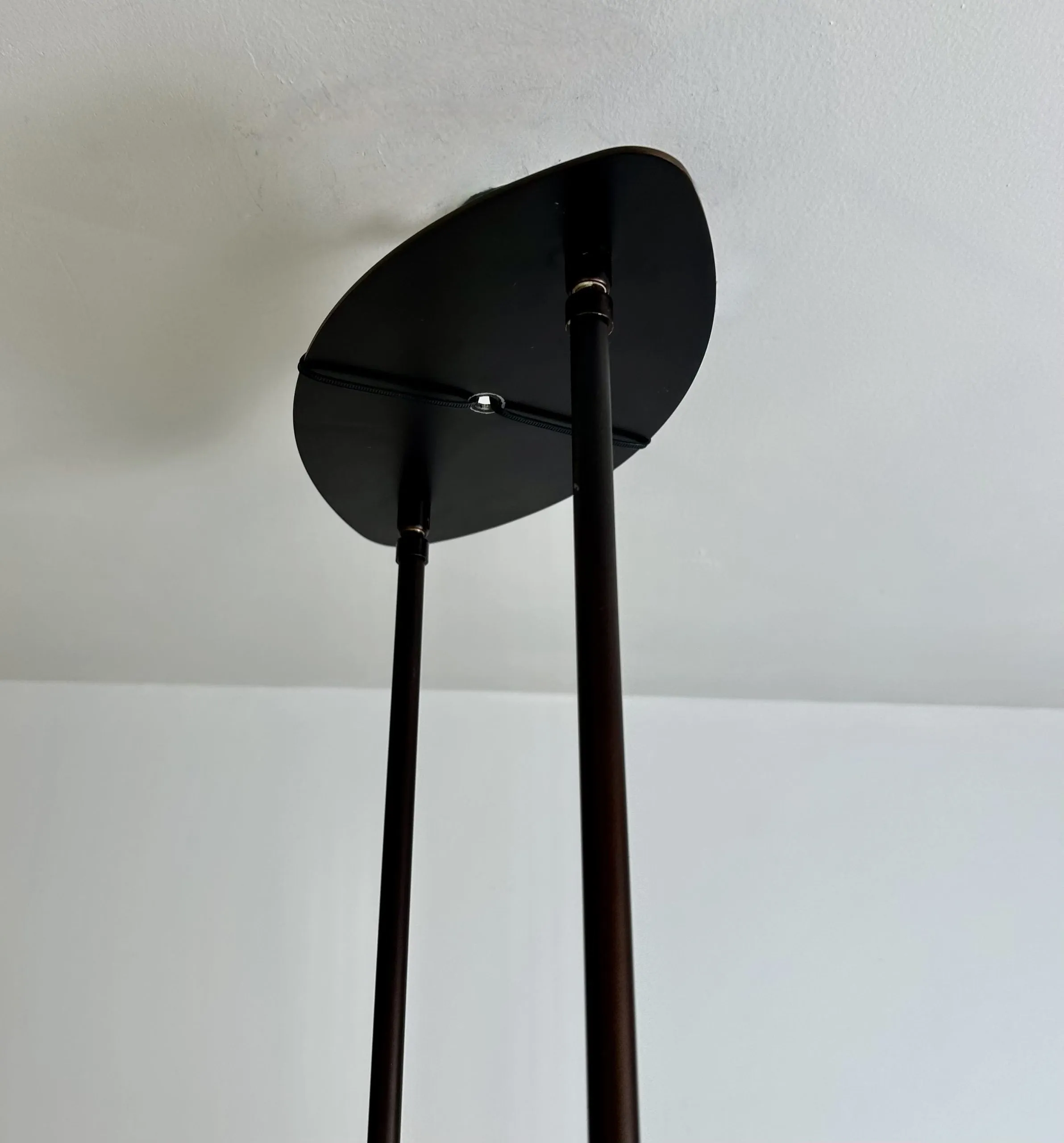Hanging Light, Elliptical, Contemporary, Two Bulb