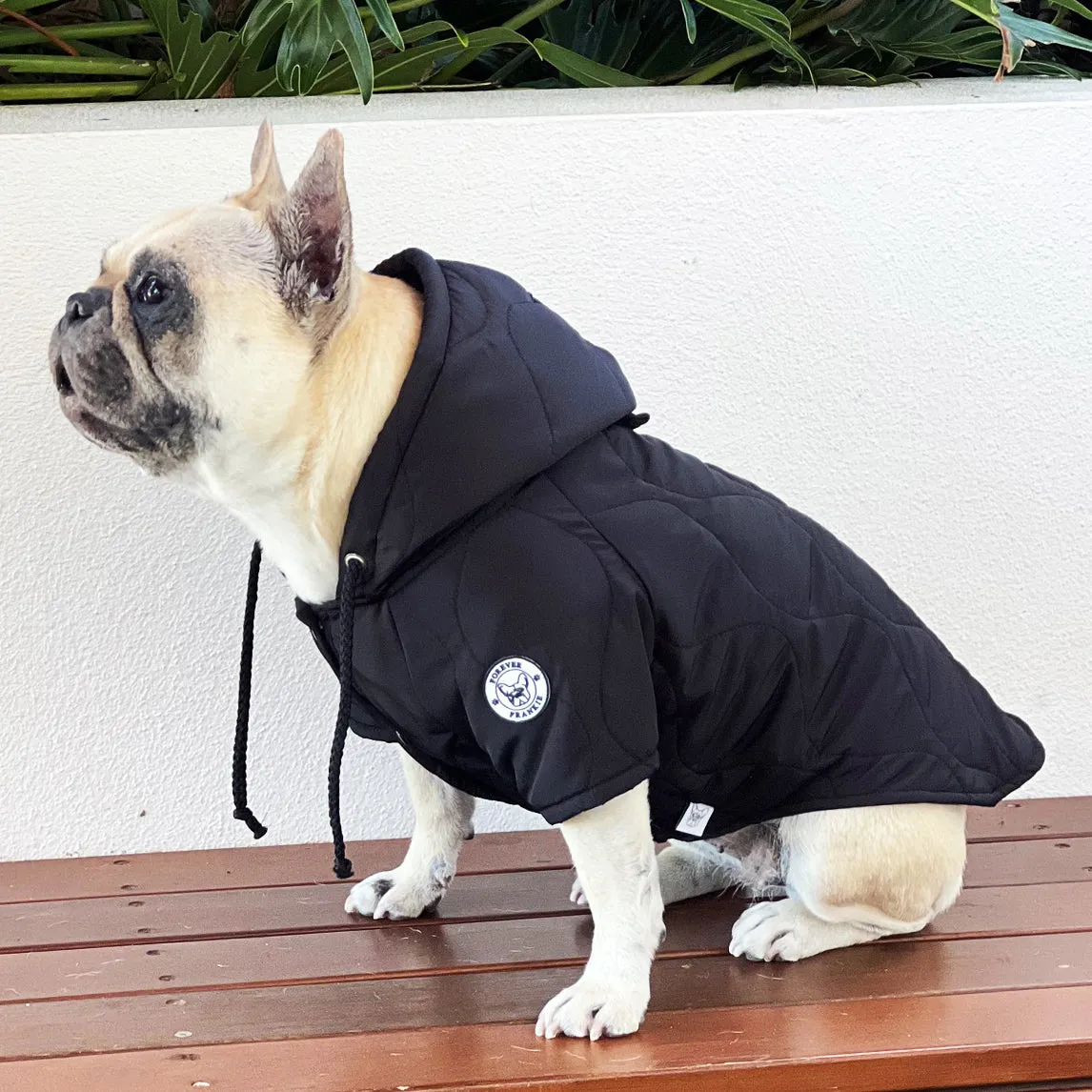 Midnight Puffer Jacket